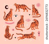 vector set of tigers images on pink background, mysterious images of wild cats
