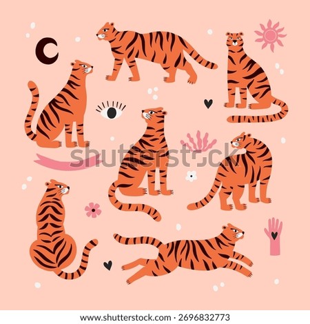 vector set of tigers images on pink background, mysterious images of wild cats