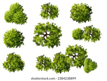 Vector set of Top view green tree for outdoor plan or map and architecture drawing, elements for environment and garden,botanical elements ,blooming flowers in spring,tropical plants element