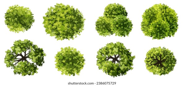 Vector set of Top view green tree for outdoor plan or map and architecture drawing, elements for environment and garden,botanical elements ,blooming flowers in spring,tropical plants element