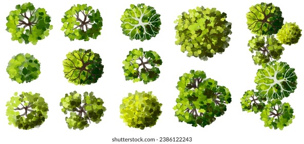 Conjunto de vectores de árbol verde de vista superior para el plano exterior o el plano de mapa y arquitectura, elementos para el medio ambiente y el jardín, elementos botánicos, flores florecientes en primavera, elementos de plantas tropicales