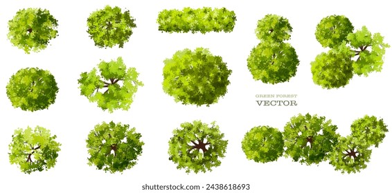 Conjunto vectorial de árbol verde de vista superior para plano o mapa al aire libre y dibujo de arquitectura, elementos para el medio ambiente y el jardín, elementos botánicos, flores florecientes en primavera, elemento de plantas tropicales