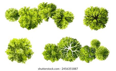 Vector set of Top view green tree for outdoor plan or map and architecture drawing, elements for environment and garden,botanical elements ,blooming flowers in spring,tropical plants element