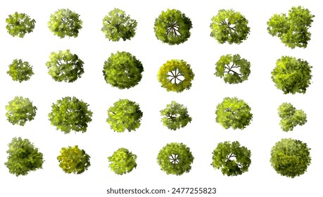Vector set of Top view green tree for outdoor plan or map and architecture drawing, elements for environment and garden ,botanical elements ,blooming flowers in spring,tropical plants element