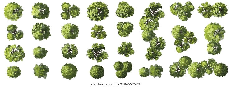 Vector set of Top view green tree for outdoor plan or map and architecture drawing, elements for environment and garden ,botanical elements ,meadow in spring,tropical plants element