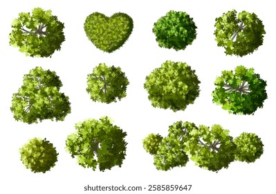 Vector set of Top view green tree for outdoor plan or map and architecture drawing, elements for environment and garden ,botanical elements ,Blooming flowers in spring,tropical plants element