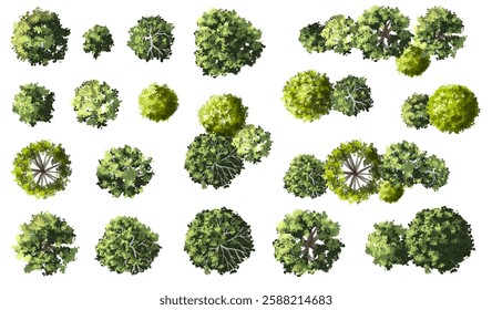 Vector set of Top view green tree for outdoor plan or map and architecture drawing, elements for environment and garden ,botanical elements ,Blooming flowers in spring,tropical plants element