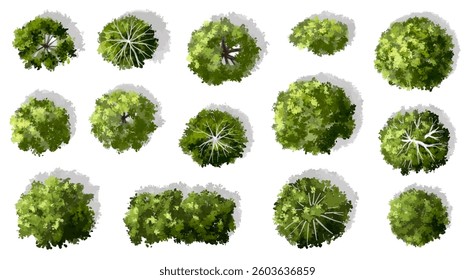 Vector set of Top view green tree for outdoor plan or map and architecture drawing, elements for environment and garden ,botanical elements ,Blooming flowers in spring,tropical plants element