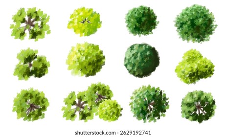 Vector set of Top view green tree for outdoor plan or map and architecture drawing, elements for environment and garden ,botanical elements ,Blooming flowers in spring,tropical plants element
