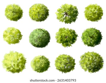 Vector set of Top view green tree for outdoor plan or map and architecture drawing, elements for environment and garden ,botanical elements ,Blooming flowers in spring,tropical plants element