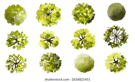 Vector set of Top view green tree for outdoor plan or map and architecture drawing, elements for environment and garden ,botanical elements ,Blooming flowers in spring,tropical plants element
