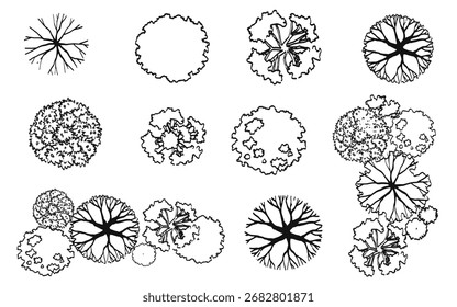 Conjunto de Vector de árbol de vista superior para Plan al aire libre o mapa y dibujo arquitectónico, Elementos para el medio ambiente y el jardín, Elementos botánicos, Flores florecientes en primavera, elemento de plantas tropicales