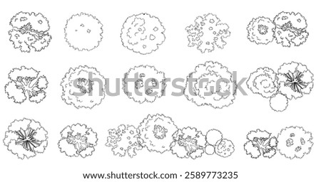 : Vector set of Top view tree for outdoor plan or map and architecture drawing, elements for environment and garden ,botanical elements ,Blooming spring,tropical plants element,freehand sketch