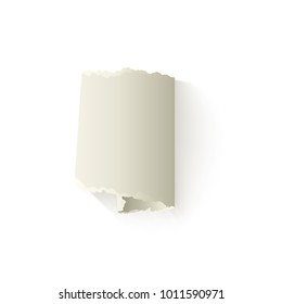 Vector set of torn paper, blank twisted scrap. Notebook paper sheet with ripped edges for your design. Realistic isolated illustration on a white background.