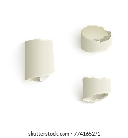 Vector set of torn paper set. Different shapes of blank scraps. Twisted sheets with ripped edges for your design. Realistic isolated illustration on a white background.