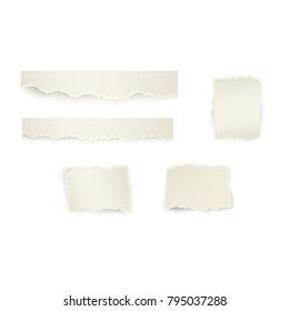 Vector set of torn paper set. Different stripe and square shape of blank scraps. Notebook sheets with ripped edges for your design. Realistic isolated illustration on a white background.