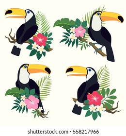 Vector set of toucan birds on tropical branches with leaves and flowers. 