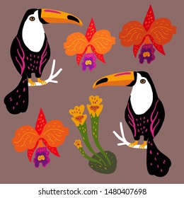 Vector set of toucan birds, tropical plant and orchids. Summer design elements. Collection of stickers for design, scrapbooking and postcards.