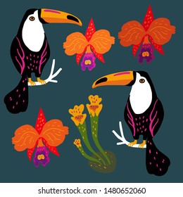 Vector set of toucan birds, tropical plant and orchids. Summer design elements. Collection of stickers for design, scrapbooking and postcards.