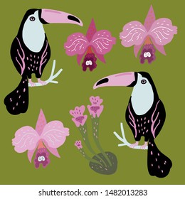 Vector set of toucan birds, tropical plant and orchids. Summer design elements. Collection of stickers for design, scrapbooking and postcards.