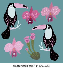 Vector set of toucan birds, tropical plant and orchids. Summer design elements. Collection of stickers for design, scrapbooking and postcards.