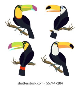 Vector set of toucan birds. Very bright colorful cute cartoon background design element