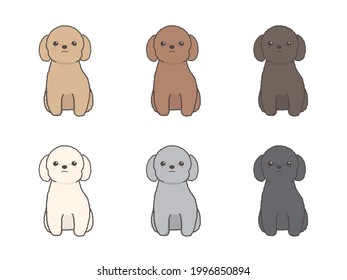 Vector set of toy poodle. Looking at Camera. Facing Front. Sitting.