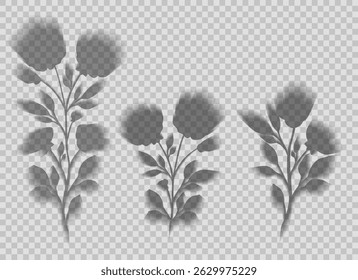 Conjunto vetorial de flores de sombra borradas transparentes. Coleção de silhuetas de flores para criação de cena e banners