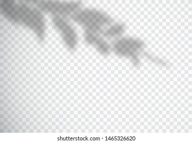 Vector set of transparent shadow overlay effects