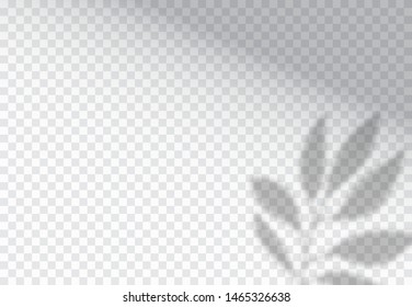 Vector set of transparent shadow overlay effects