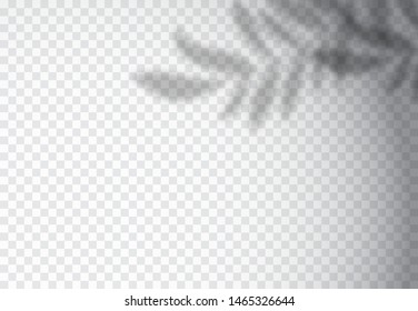 Vector set of transparent shadow overlay effects