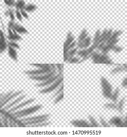 Vector Set of Transparent Shadows of Leaves. Decorative Design Elements for Collage and Mock Up. Creative Overlay Effect for Mockups