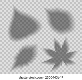 Vector set of transparent shadows of various leaves isolated from background. Clipart foliage shadow overlay effect for cards and your design. Silhouette of linden, maple and birch shadow