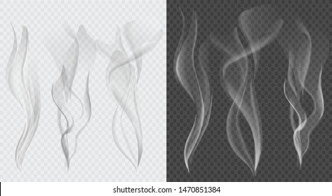 Vector set of transparent smoke collection on white and dark background