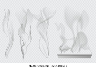 Vector set of transparent white cigarette smoke and transparent white steam over cup on light background