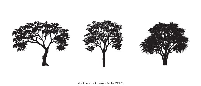 Vector set of tree.