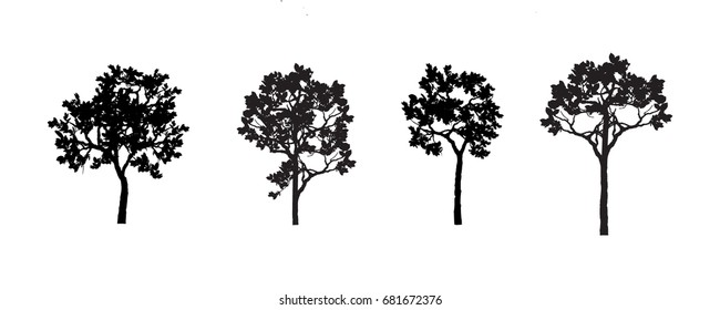 Vector set of tree.