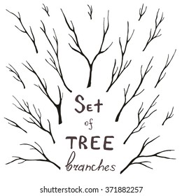 Vector set of tree branches, trunk, twig, stem. Hand-drawing eco design for frames, decoration, greeting, invitation cards, postcards.