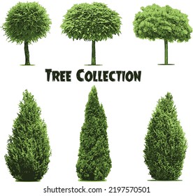 Vector set of tree collection 1