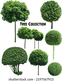Vector set of tree collection 4