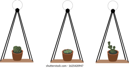 Vector set of tree different cactus succulent in pot.