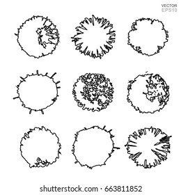 Vector set of tree plan for landscape design. Abstract natural symbol isolated on white background.