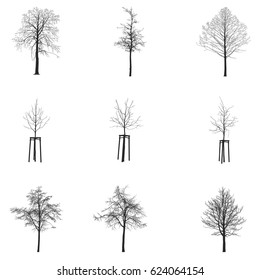 Vector set of tree silhouettes, isolated on white background.