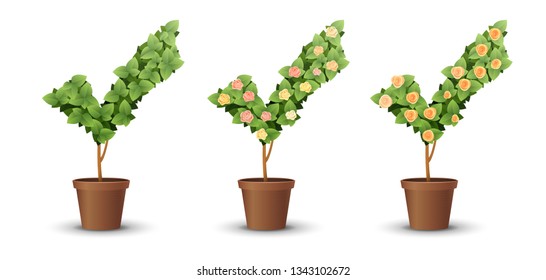 vector set. trees with blooming roses isolated on white background