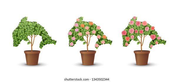 vector set. trees with blooming roses isolated on white background