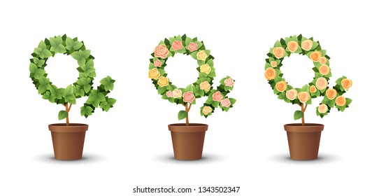 vector set. trees with blooming roses isolated on white background
