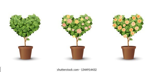 vector set. trees with blooming roses isolated on white background