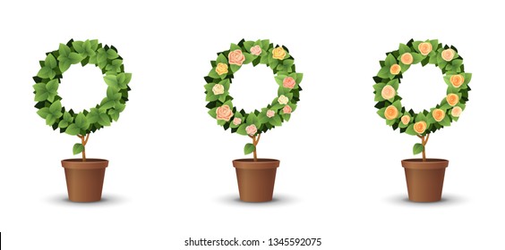 vector set. trees with blooming roses isolated on white background