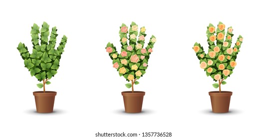 vector set. trees with blooming roses isolated on white background
