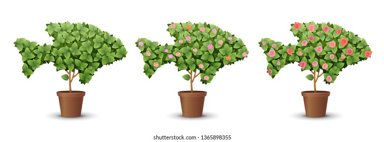 vector set. trees with blooming roses isolated on white background